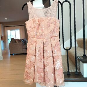 Anthropologie Pink Sequin Dress